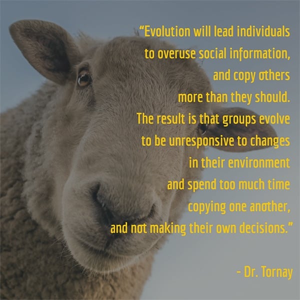 Dr. Tornay quote about herd psychology
