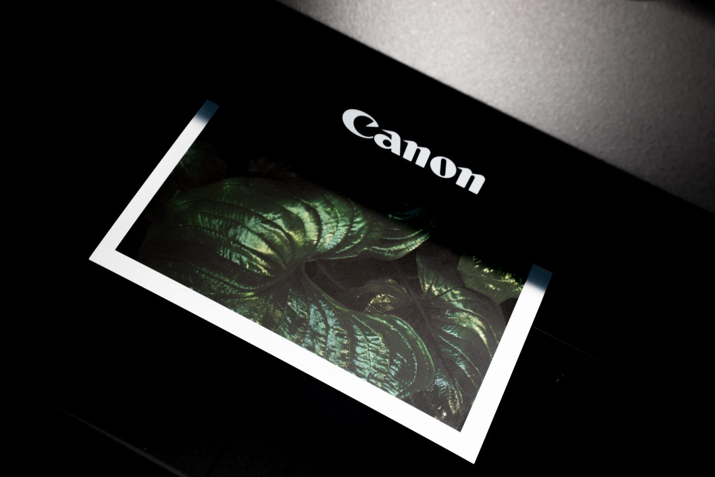 Canon increases revenue by 14% by adapting content discovery amid digital shift