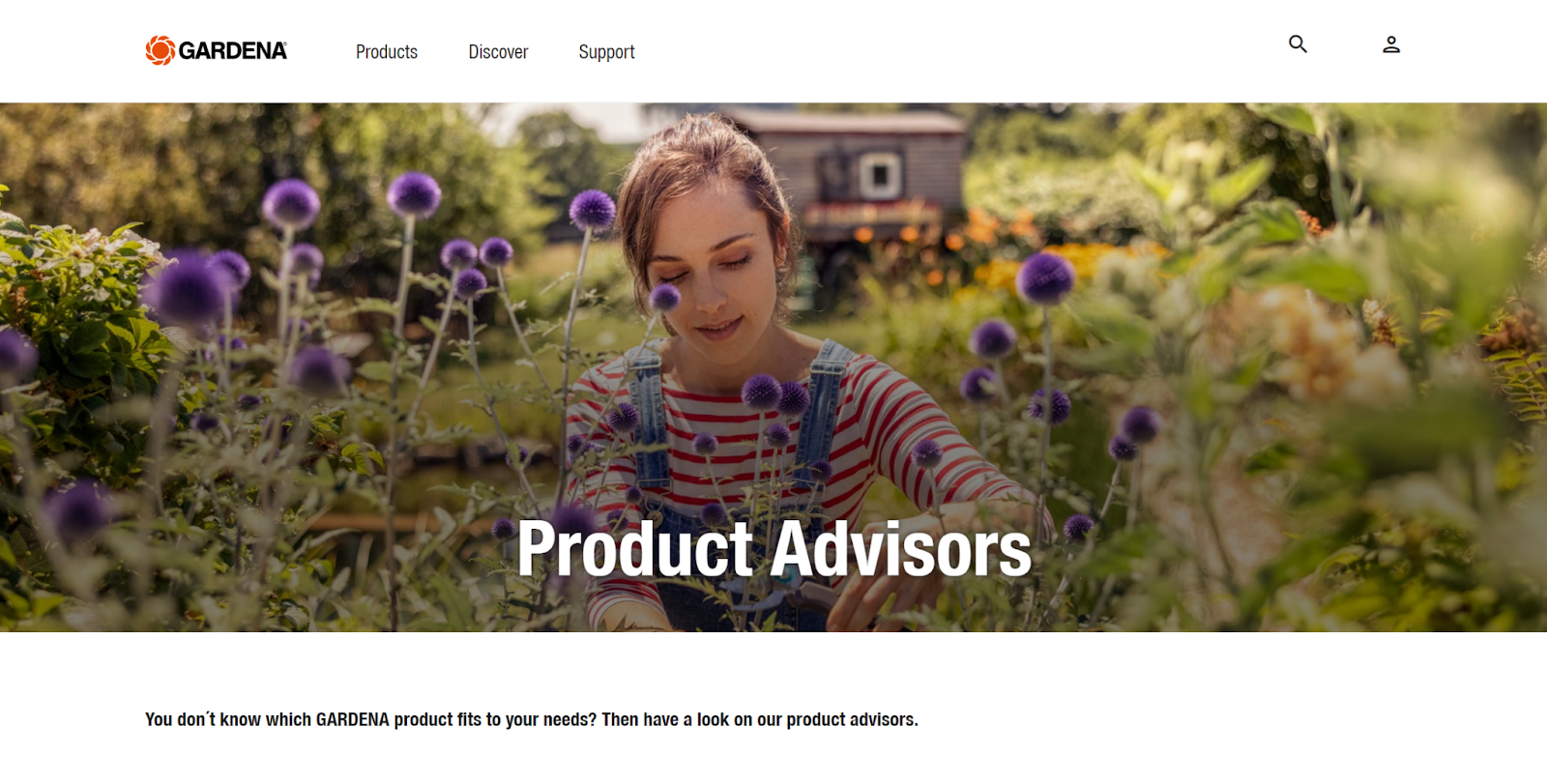 Ecommerce Product Advisor (5 Examples in Action)
